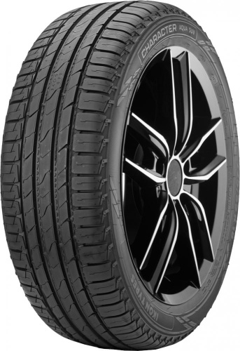 Летние шины Ikon Tyres Character Aqua SUV 235/55 R17 103V
